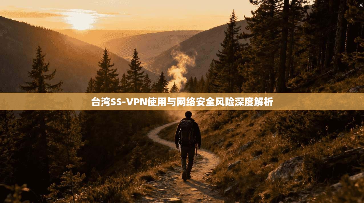 台湾SS-VPN使用与网络安全风险深度解析