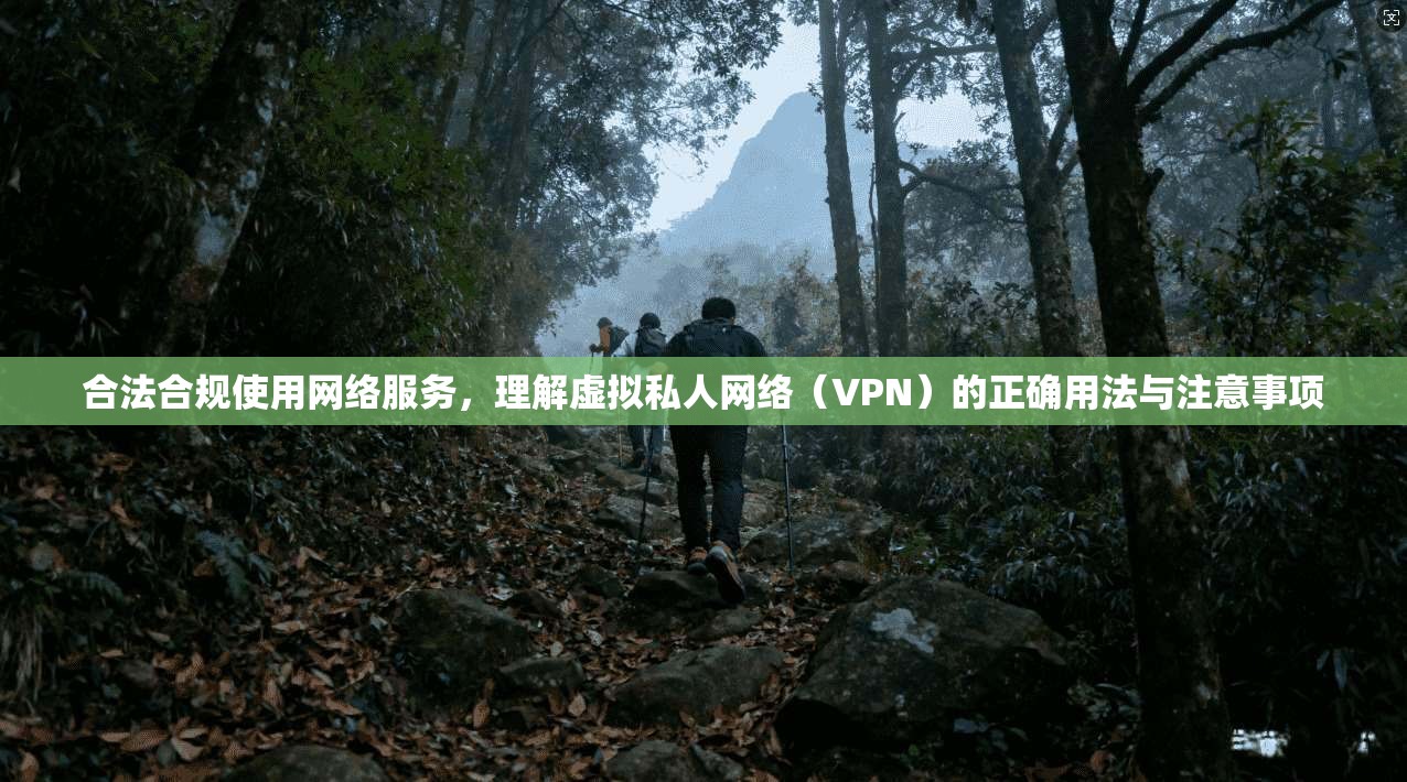 合法合规使用网络服务，理解虚拟私人网络（VPN）的正确用法与注意事项