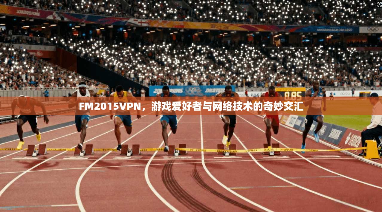 FM2015VPN，游戏爱好者与网络技术的奇妙交汇