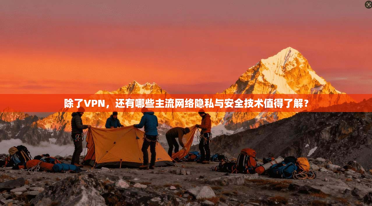 除了VPN，还有哪些主流网络隐私与安全技术值得了解？