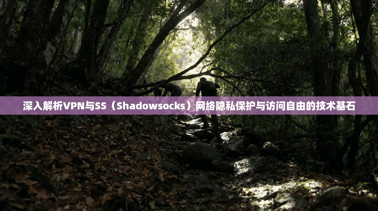 深入解析VPN与SS（Shadowsocks）网络隐私保护与访问自由的技术基石