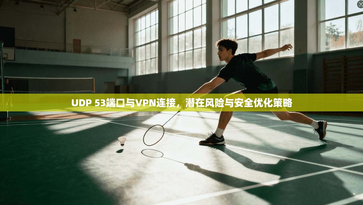 UDP 53端口与VPN连接，潜在风险与安全优化策略