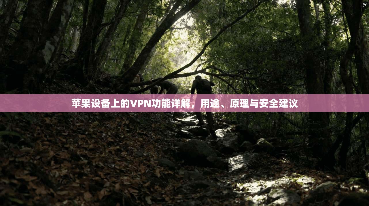苹果设备上的VPN功能详解，用途、原理与安全建议