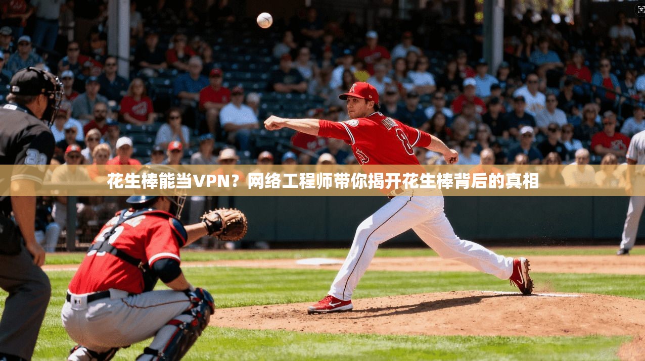 花生棒能当VPN？网络工程师带你揭开花生棒背后的真相