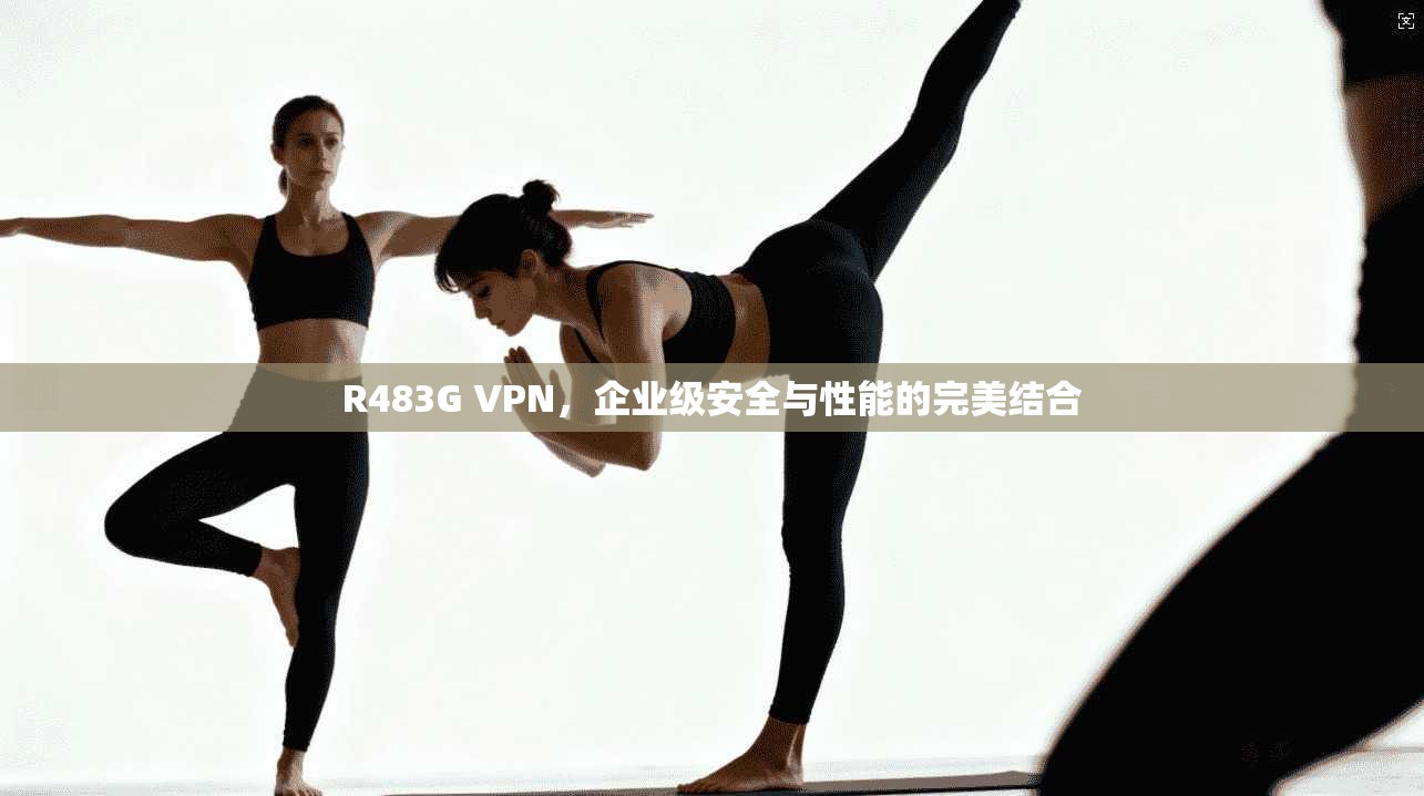 R483G VPN，企业级安全与性能的完美结合