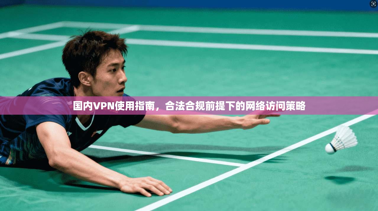 国内VPN使用指南，合法合规前提下的网络访问策略
