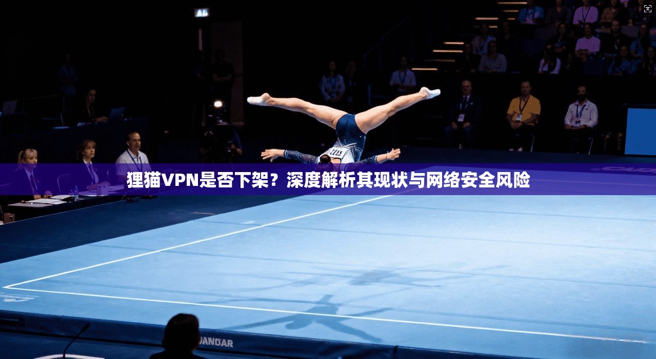 狸猫VPN是否下架？深度解析其现状与网络安全风险