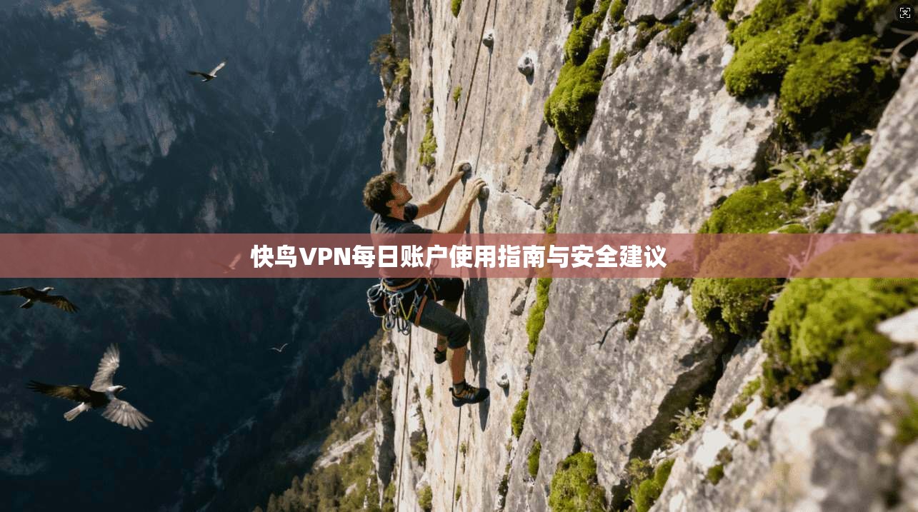 快鸟VPN每日账户使用指南与安全建议