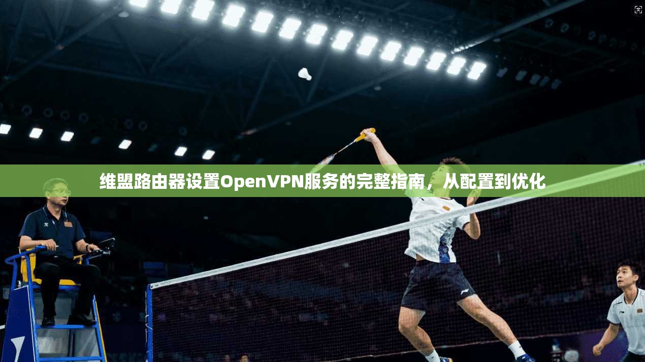 维盟路由器设置OpenVPN服务的完整指南，从配置到优化