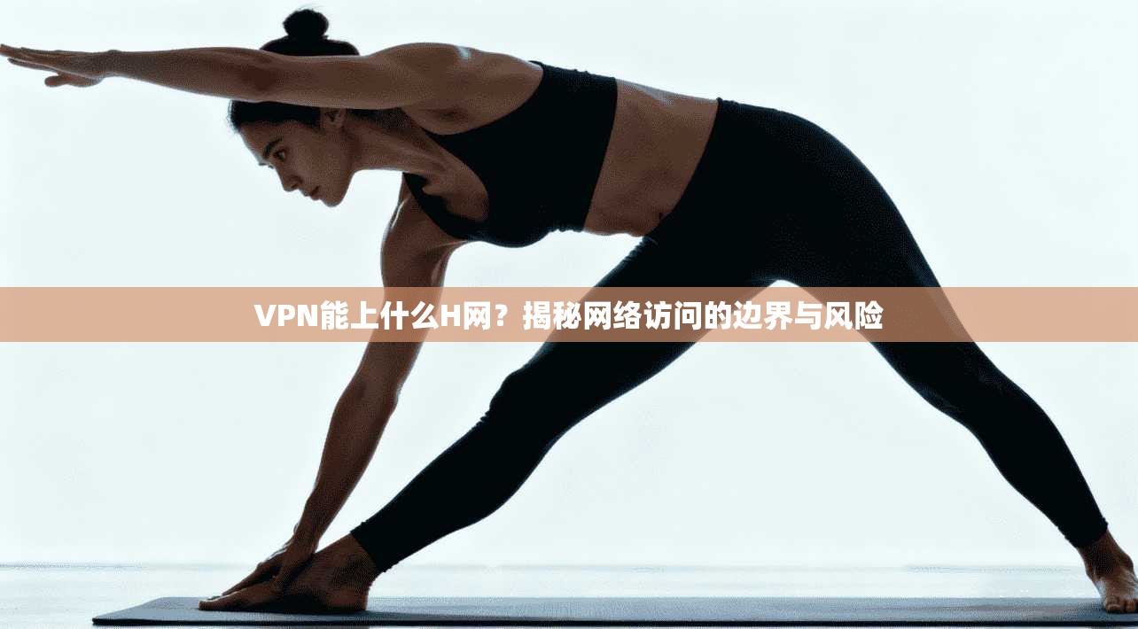 VPN能上什么H网？揭秘网络访问的边界与风险