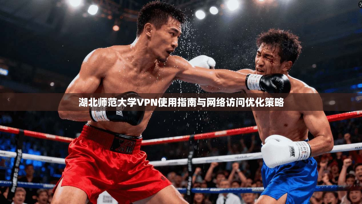湖北师范大学VPN使用指南与网络访问优化策略