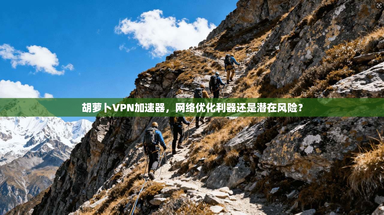 胡萝卜VPN加速器，网络优化利器还是潜在风险？