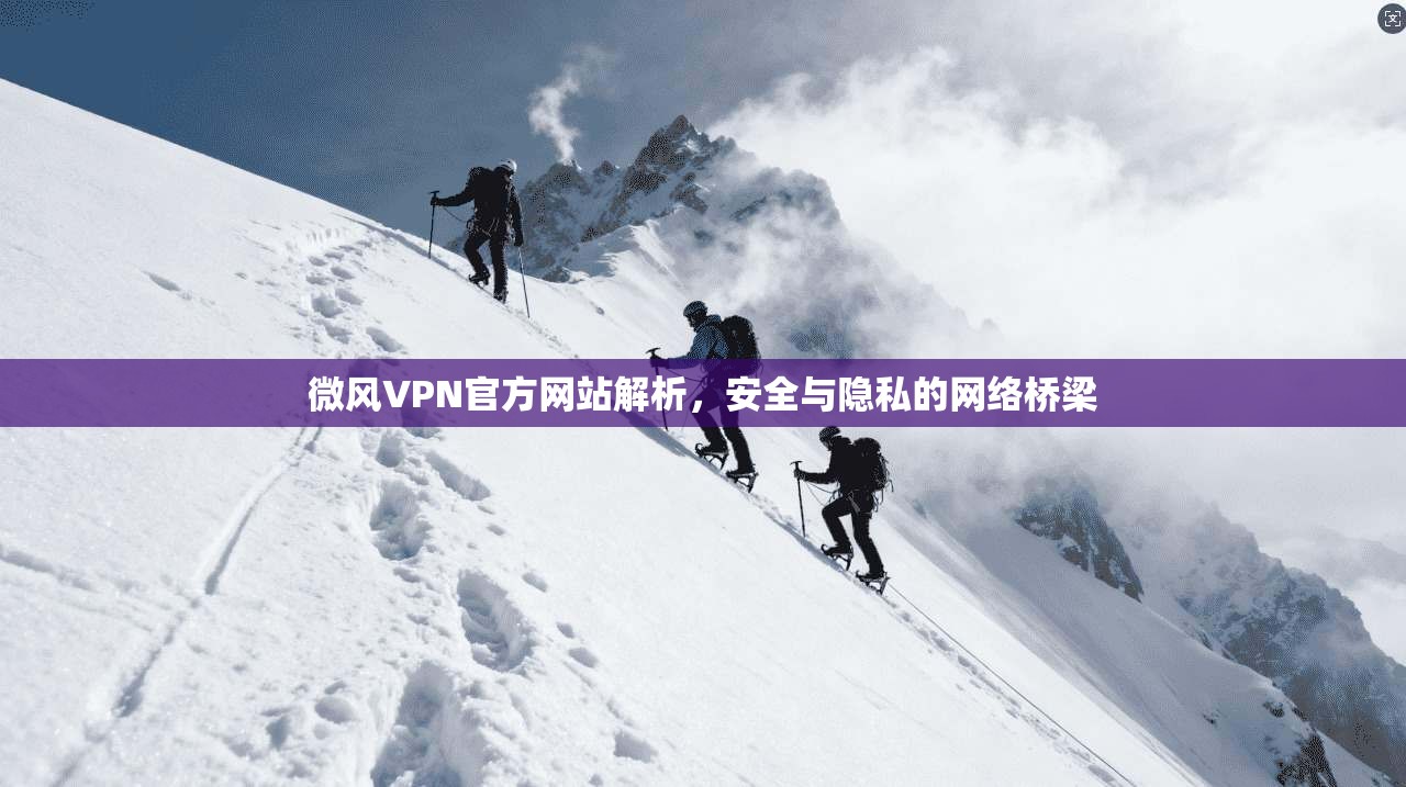 微风VPN官方网站解析，安全与隐私的网络桥梁