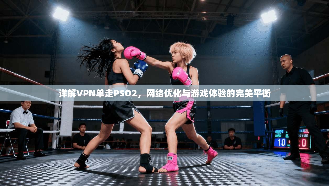 详解VPN单走PSO2，网络优化与游戏体验的完美平衡