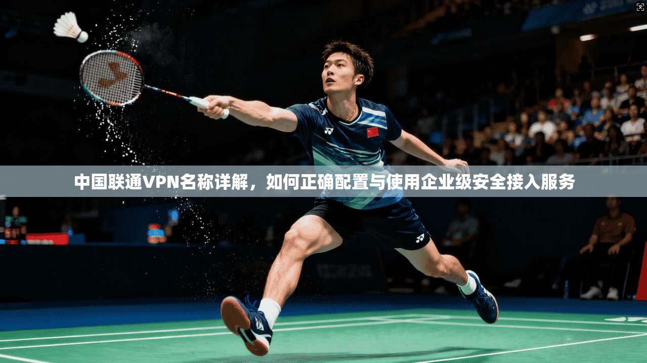 中国联通VPN名称详解，如何正确配置与使用企业级安全接入服务