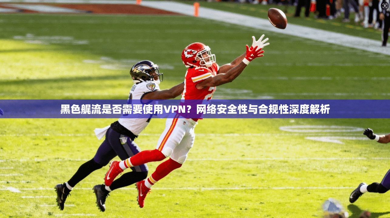 黑色艉流是否需要使用VPN？网络安全性与合规性深度解析