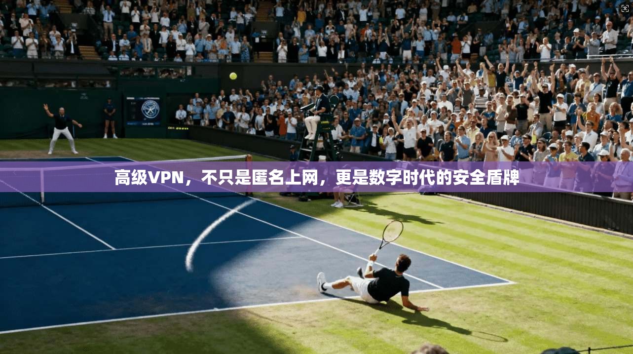 高级VPN，不只是匿名上网，更是数字时代的安全盾牌