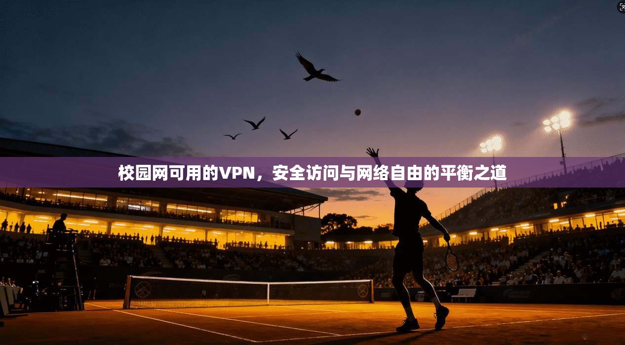 校园网可用的VPN，安全访问与网络自由的平衡之道