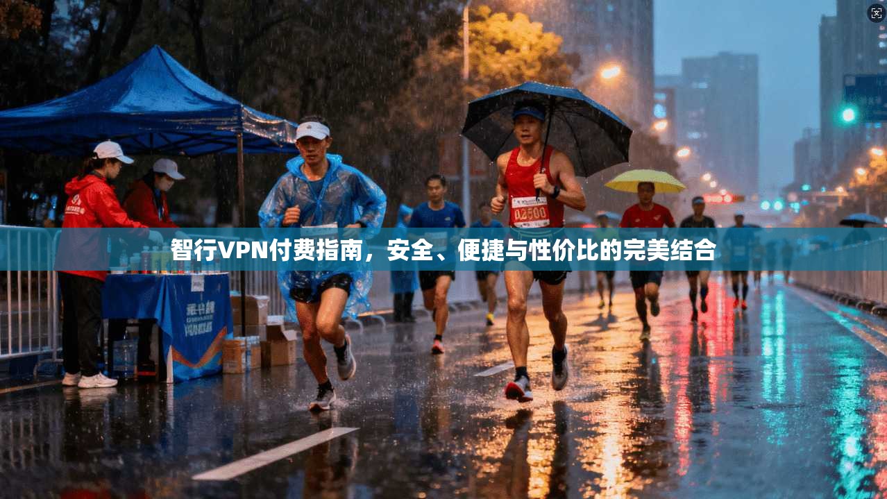 智行VPN付费指南，安全、便捷与性价比的完美结合