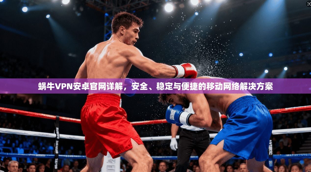 蜗牛VPN安卓官网详解，安全、稳定与便捷的移动网络解决方案