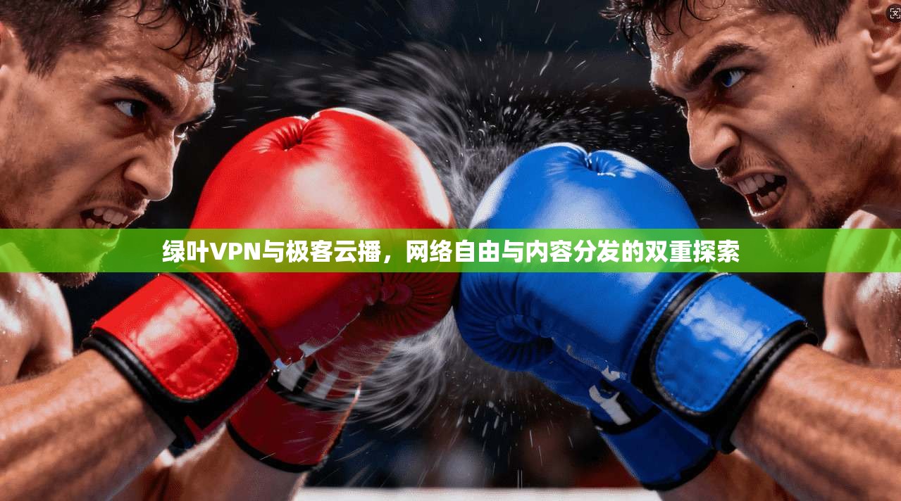 绿叶VPN与极客云播，网络自由与内容分发的双重探索