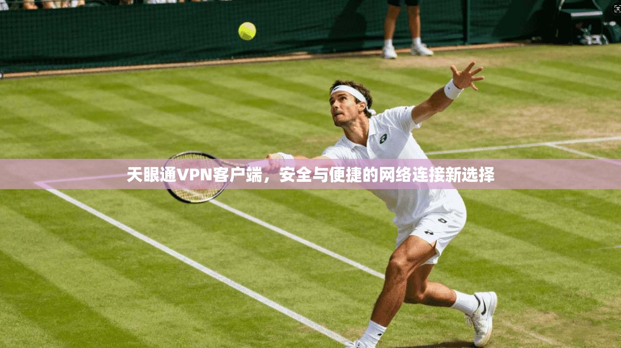 天眼通VPN客户端，安全与便捷的网络连接新选择