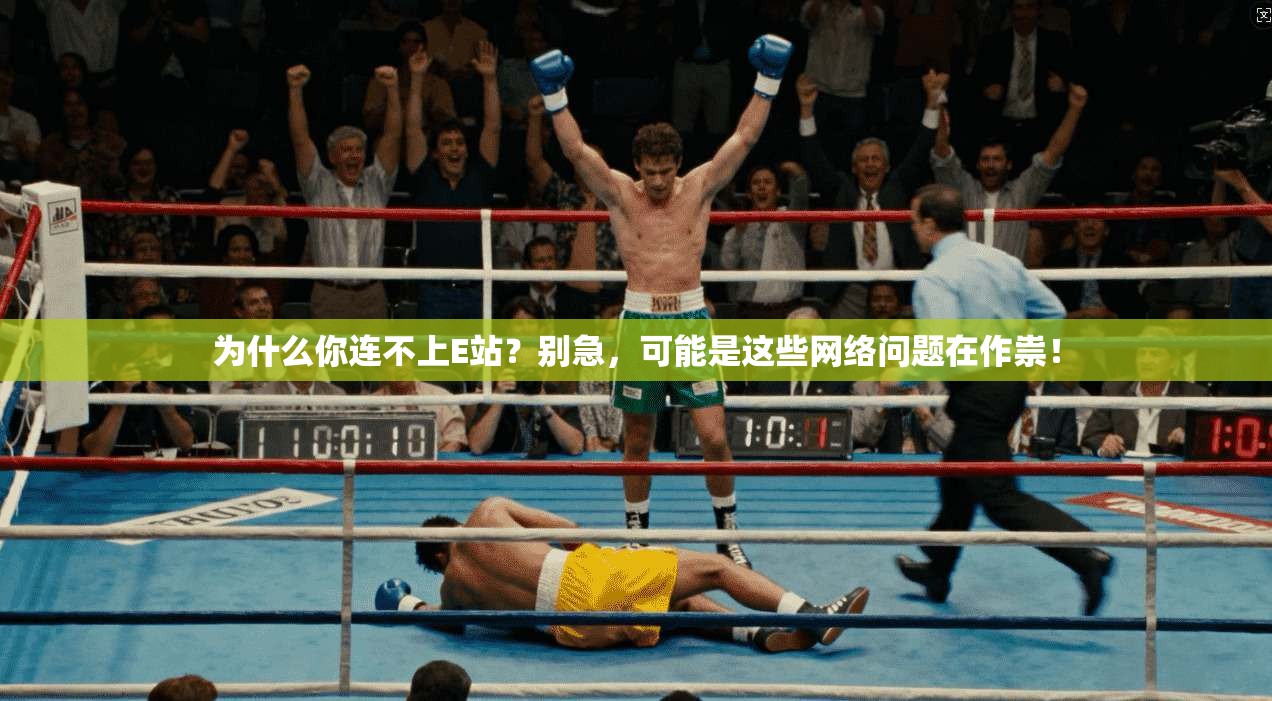 为什么你连不上E站？别急，可能是这些网络问题在作祟！