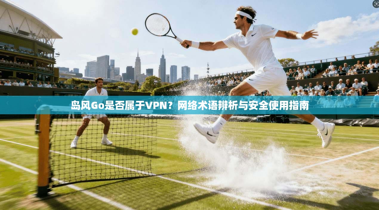 岛风Go是否属于VPN？网络术语辨析与安全使用指南