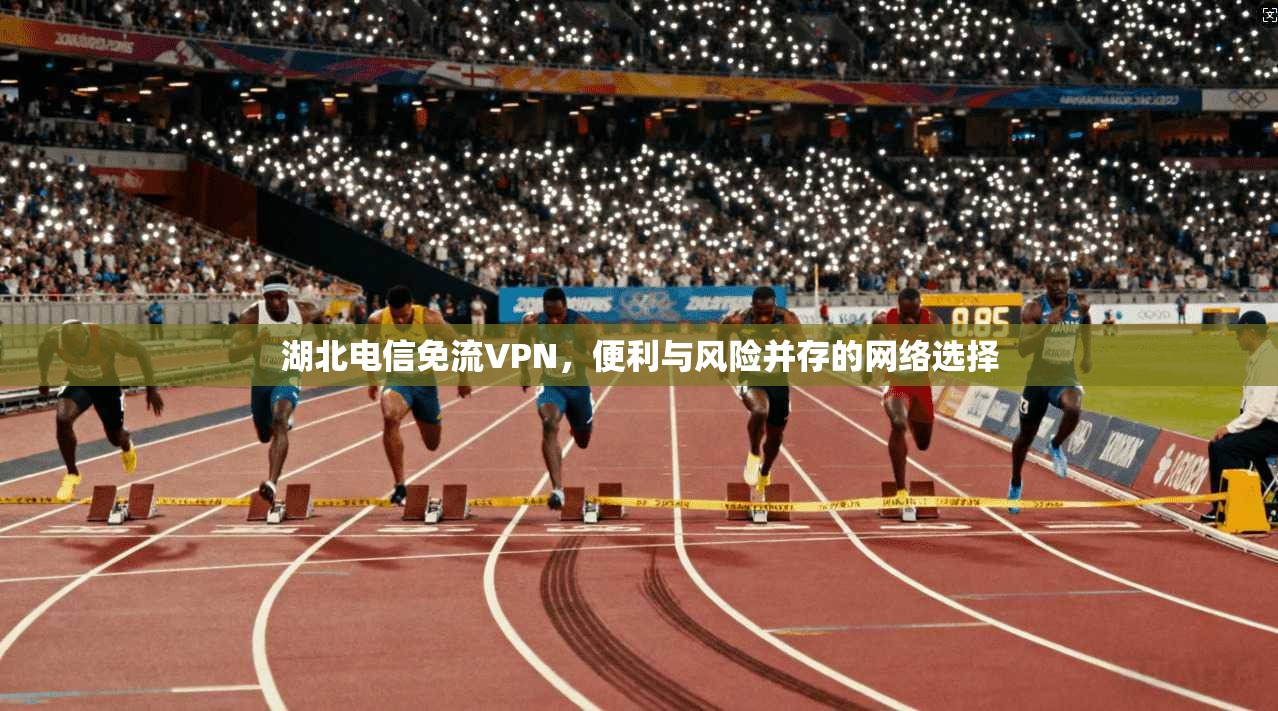 湖北电信免流VPN，便利与风险并存的网络选择