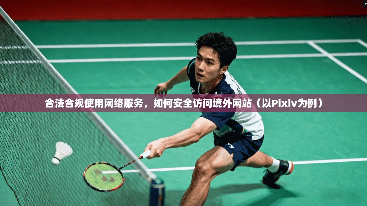 合法合规使用网络服务，如何安全访问境外网站（以Pixiv为例）