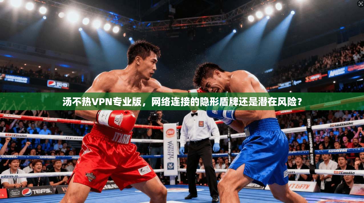 汤不热VPN专业版，网络连接的隐形盾牌还是潜在风险？