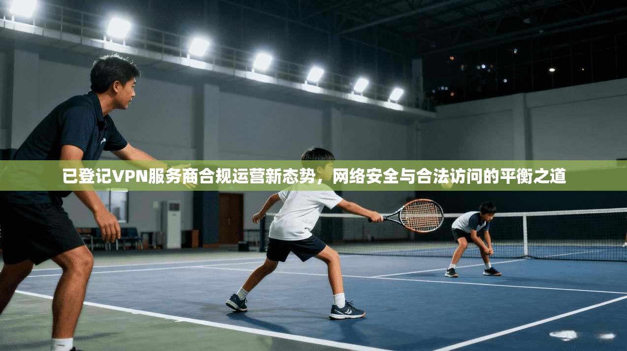 已登记VPN服务商合规运营新态势，网络安全与合法访问的平衡之道
