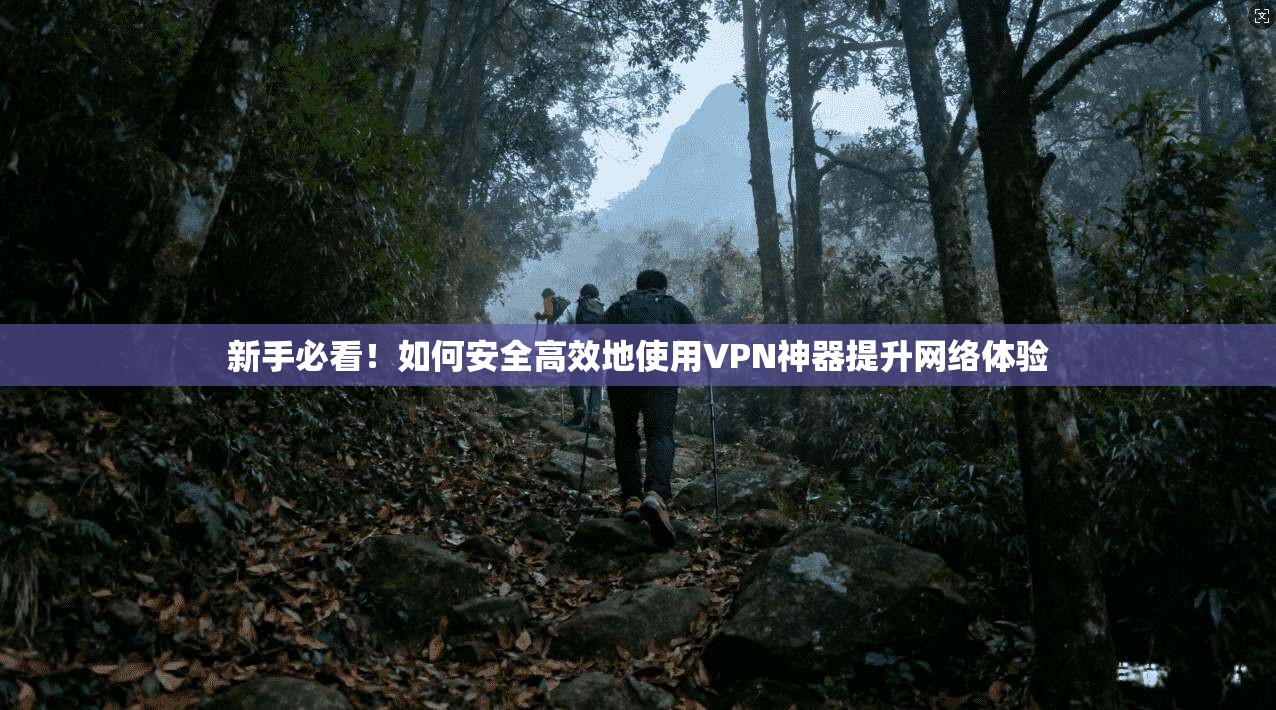 新手必看！如何安全高效地使用VPN神器提升网络体验