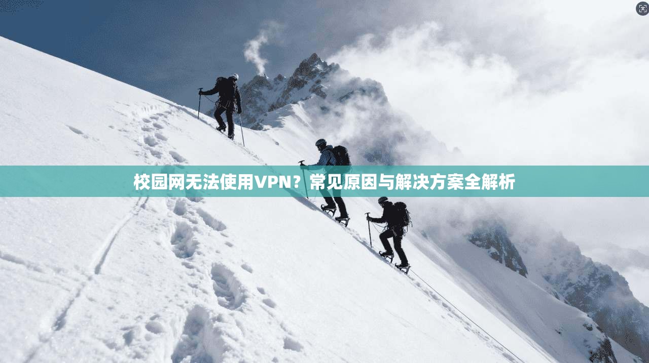 校园网无法使用VPN？常见原因与解决方案全解析