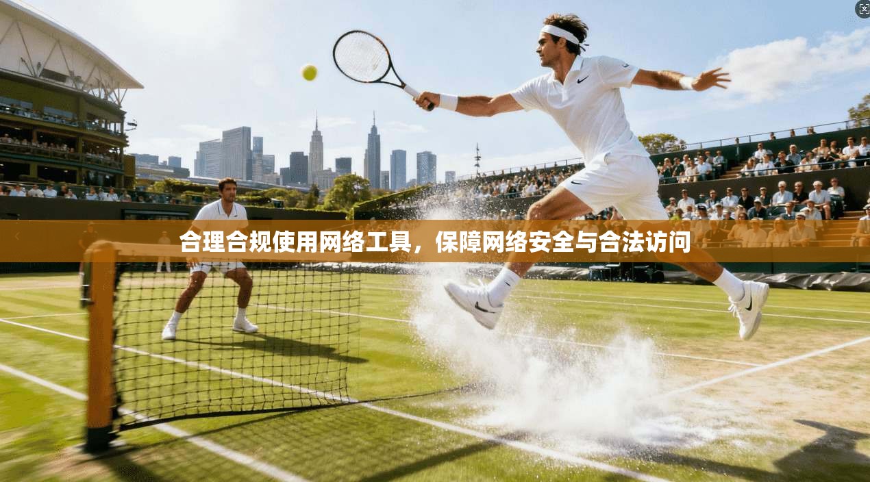合理合规使用网络工具，保障网络安全与合法访问