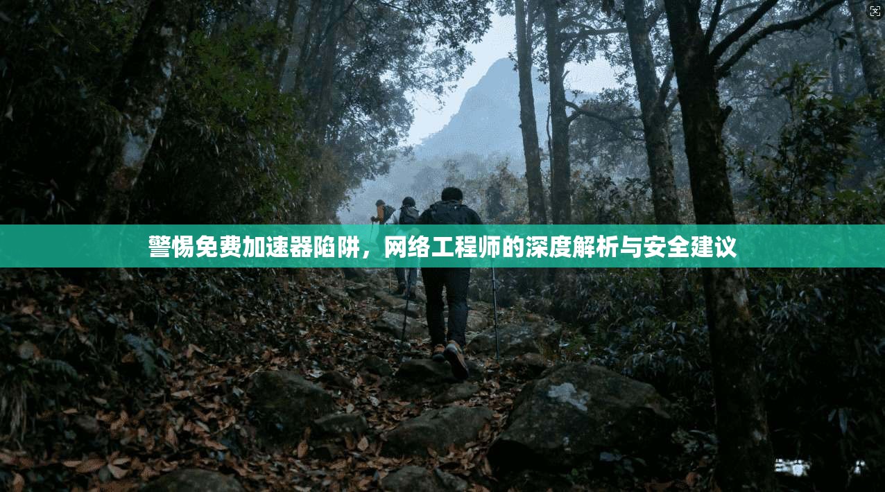警惕免费加速器陷阱，网络工程师的深度解析与安全建议