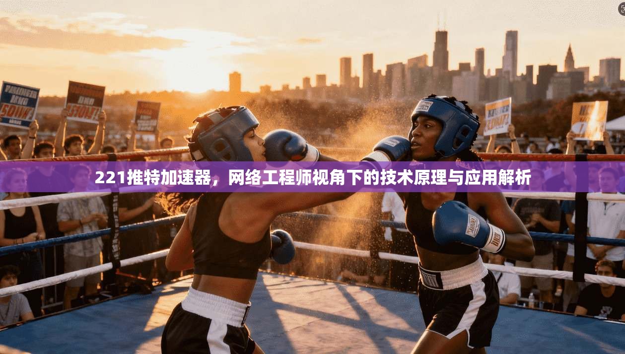 221推特加速器，网络工程师视角下的技术原理与应用解析