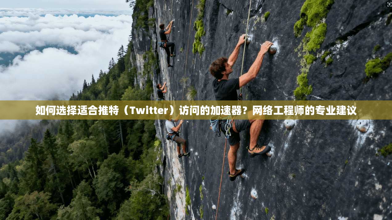 如何选择适合推特（Twitter）访问的加速器？网络工程师的专业建议