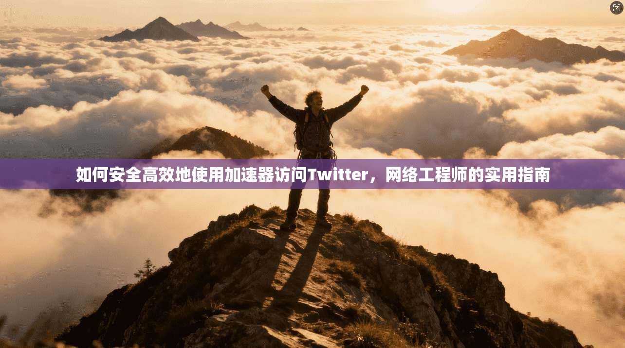 如何安全高效地使用加速器访问Twitter，网络工程师的实用指南