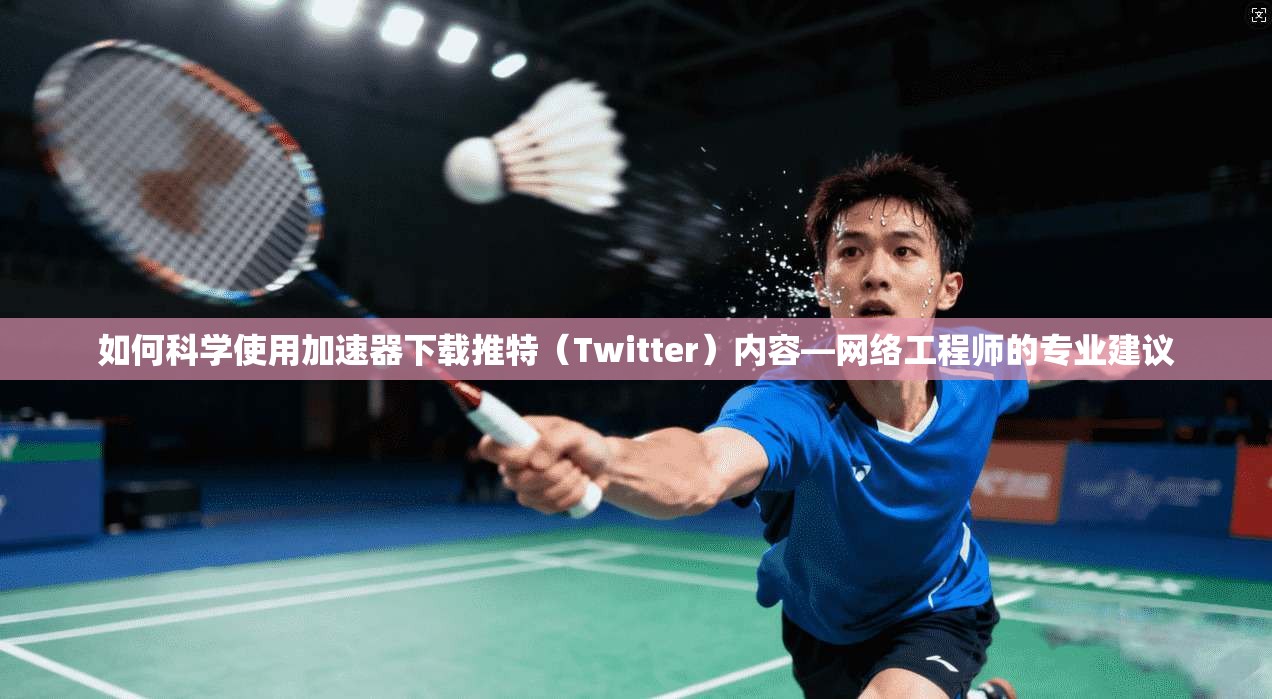 如何科学使用加速器下载推特（Twitter）内容—网络工程师的专业建议