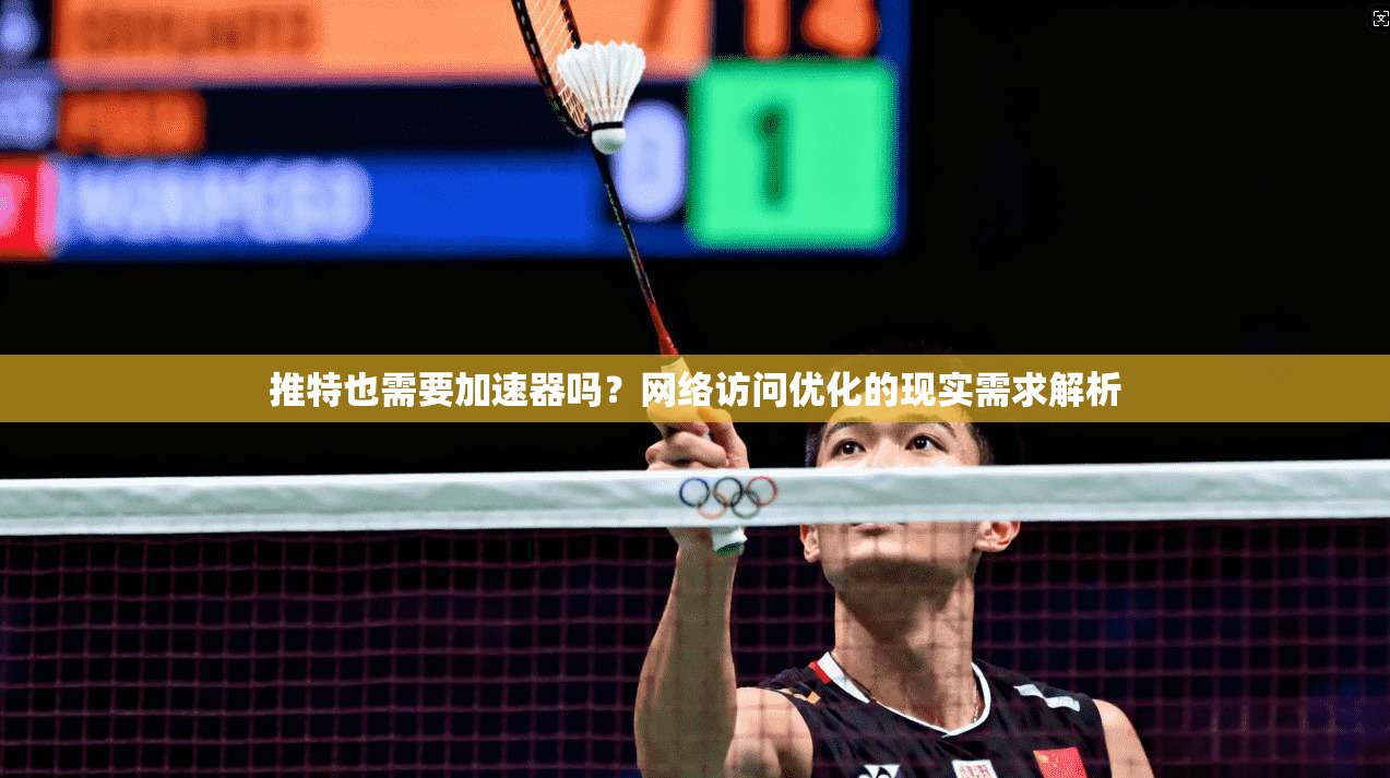 推特也需要加速器吗？网络访问优化的现实需求解析