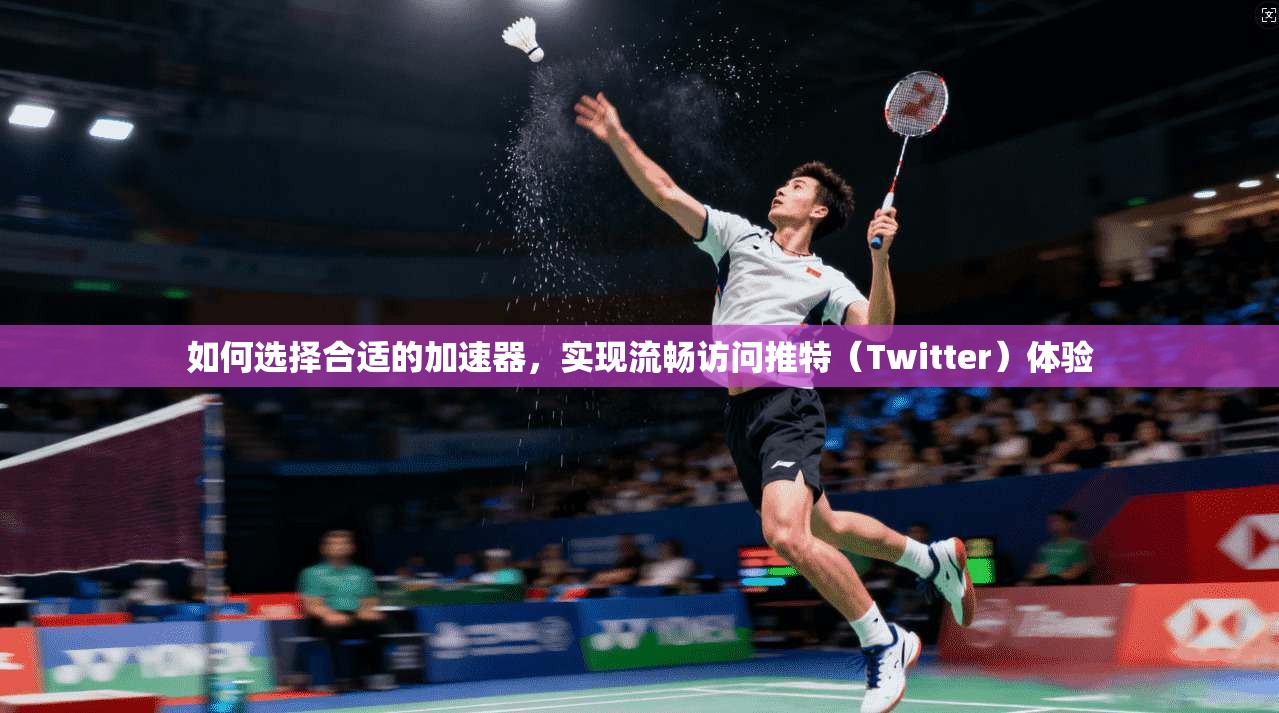 如何选择合适的加速器，实现流畅访问推特（Twitter）体验
