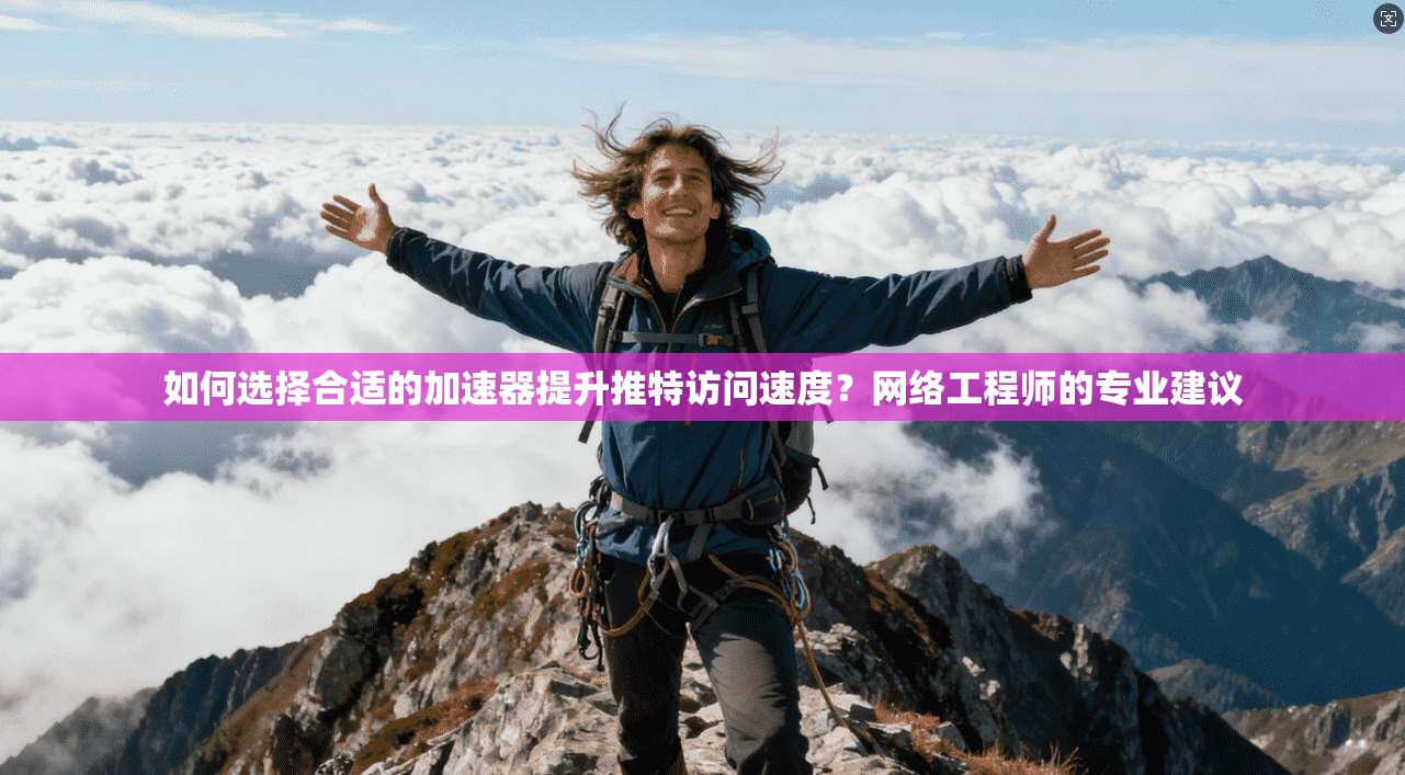 如何选择合适的加速器提升推特访问速度？网络工程师的专业建议