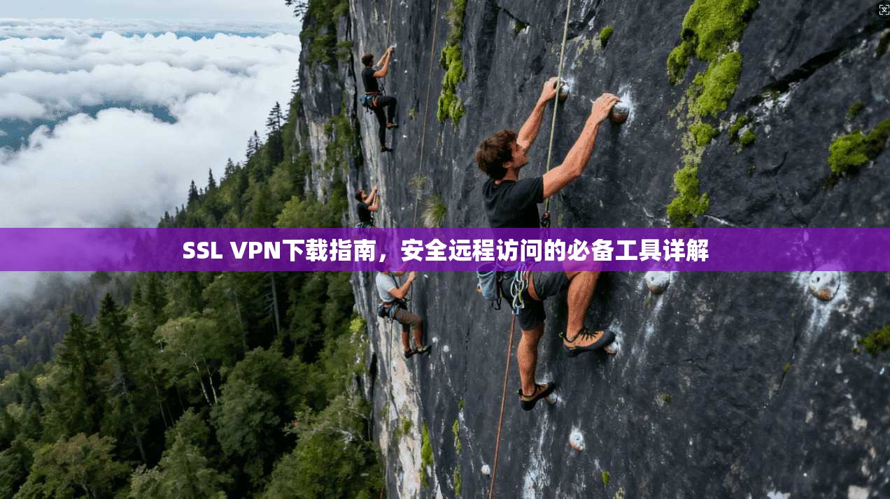 SSL VPN下载指南，安全远程访问的必备工具详解