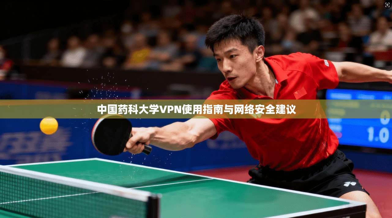 中国药科大学VPN使用指南与网络安全建议