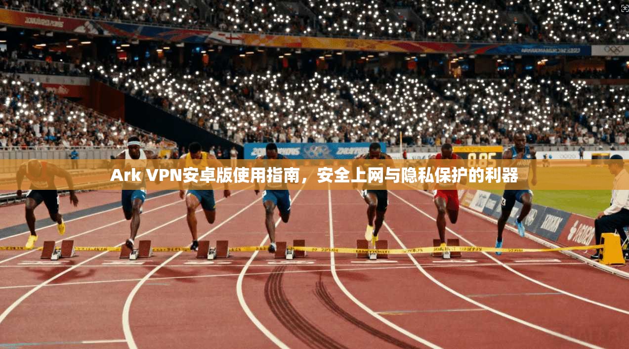 Ark VPN安卓版使用指南，安全上网与隐私保护的利器