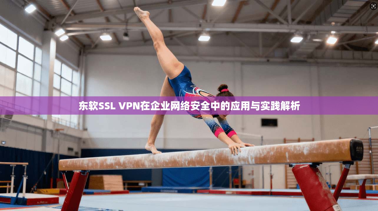东软SSL VPN在企业网络安全中的应用与实践解析