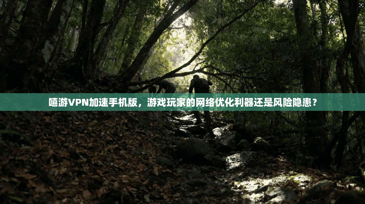 嘻游VPN加速手机版，游戏玩家的网络优化利器还是风险隐患？