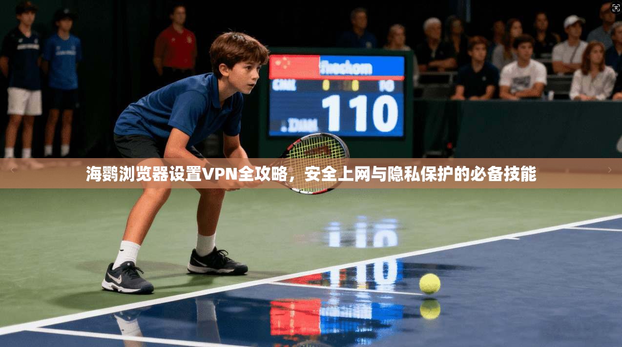 海鹦浏览器设置VPN全攻略，安全上网与隐私保护的必备技能