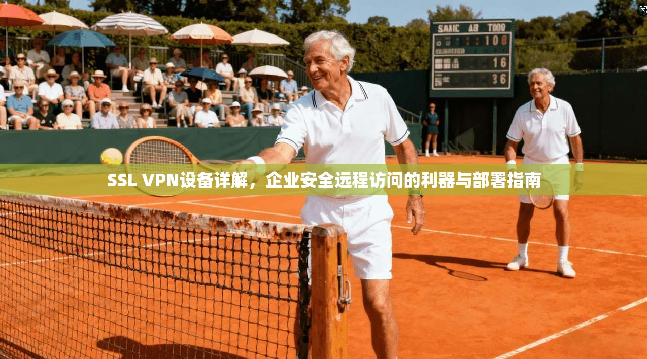 SSL VPN设备详解，企业安全远程访问的利器与部署指南